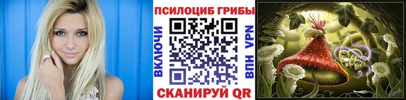 Галлюциногенные грибы мицелий  Александровское 